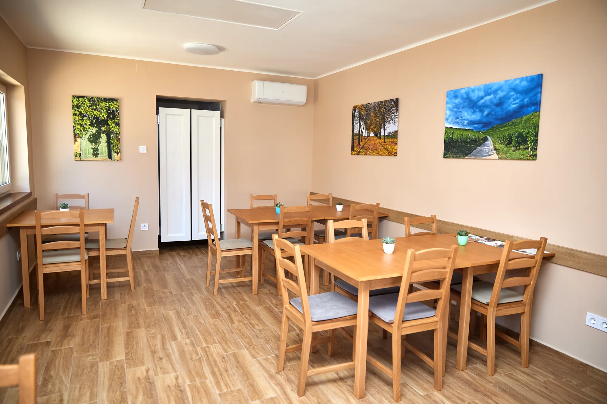 Wine & Vibe